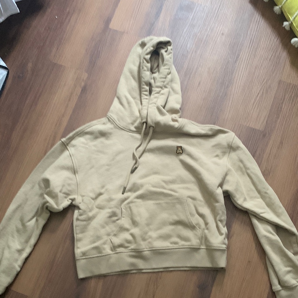 Teddy Fresh Tan Hoodie with Multicolor Logo